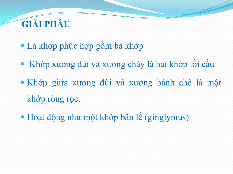 Bài giảng Vật lý trị liệu phục hồi chức năng thoái hóa khớp gối - Cầm Bá Thức trang 3