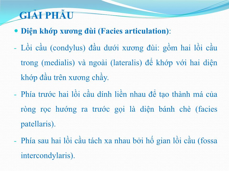 Bài giảng Vật lý trị liệu phục hồi chức năng thoái hóa khớp gối - Cầm Bá Thức trang 4