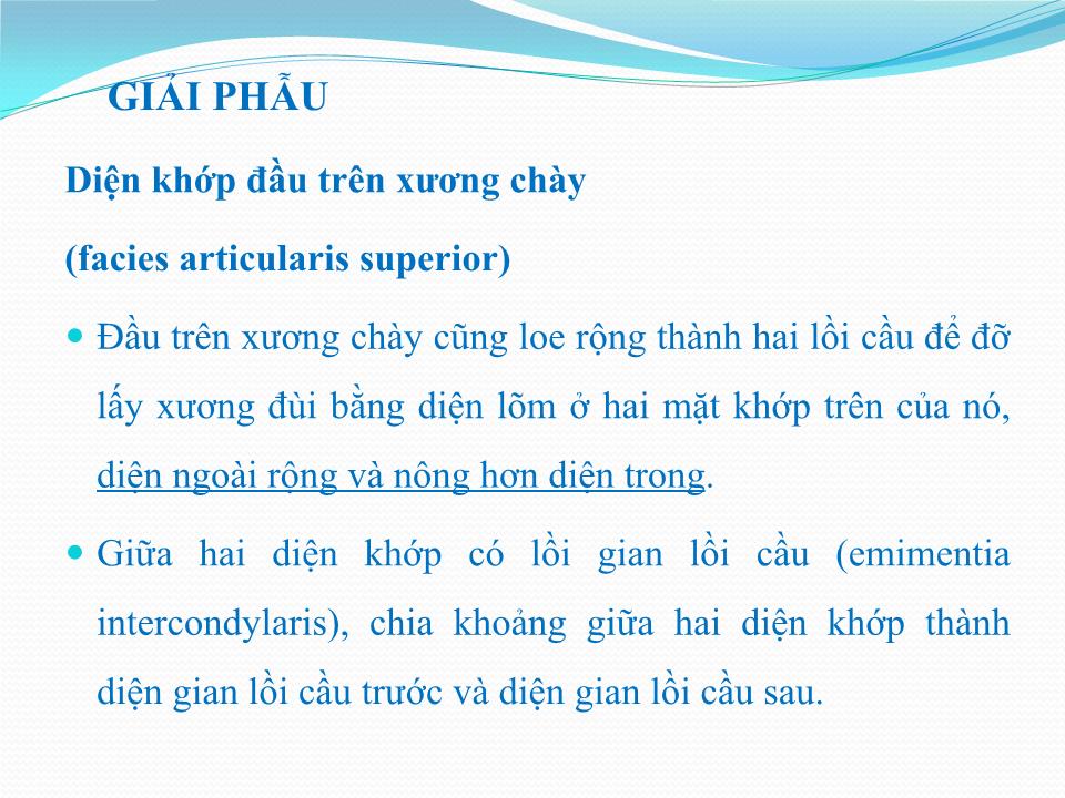 Bài giảng Vật lý trị liệu phục hồi chức năng thoái hóa khớp gối - Cầm Bá Thức trang 5