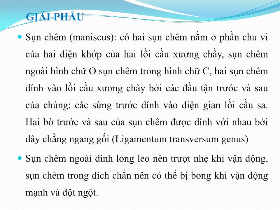 Bài giảng Vật lý trị liệu phục hồi chức năng thoái hóa khớp gối - Cầm Bá Thức trang 6