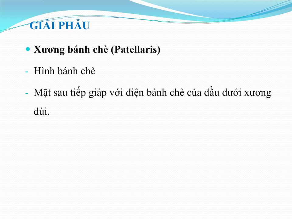 Bài giảng Vật lý trị liệu phục hồi chức năng thoái hóa khớp gối - Cầm Bá Thức trang 7