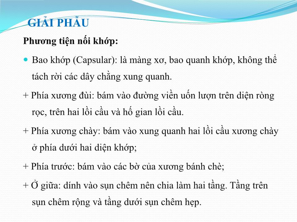 Bài giảng Vật lý trị liệu phục hồi chức năng thoái hóa khớp gối - Cầm Bá Thức trang 8