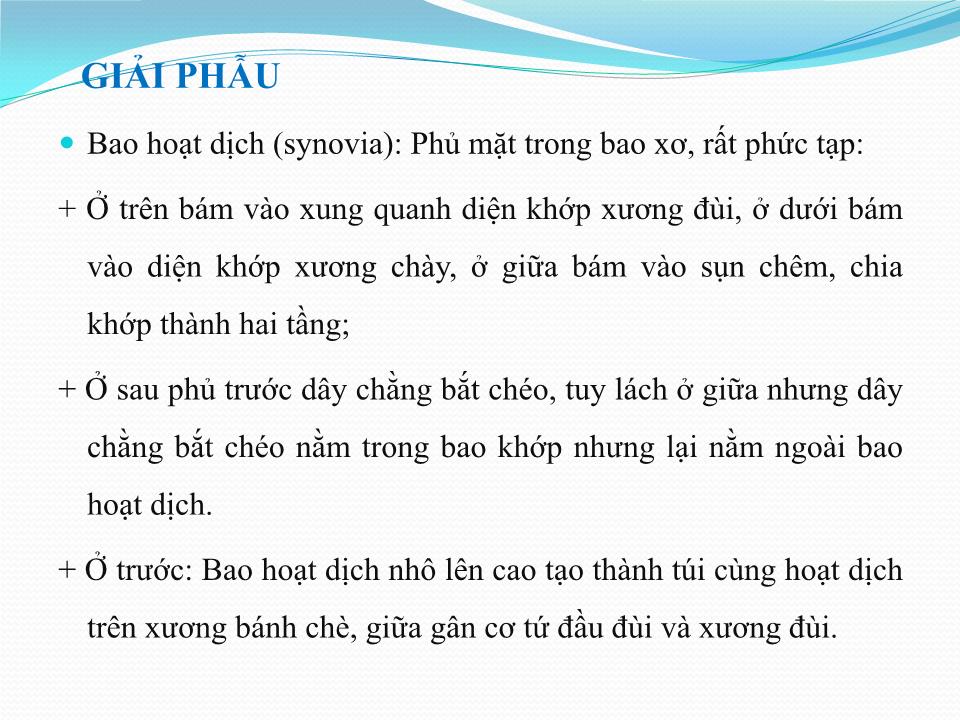 Bài giảng Vật lý trị liệu phục hồi chức năng thoái hóa khớp gối - Cầm Bá Thức trang 9