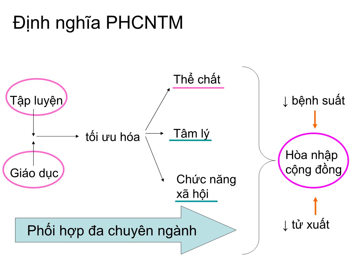 Đề tài Phục hồi chức năng tim mạch cho bệnh nhân nhồi máu cơ tim - Nguyễn Đăng Khoa trang 5