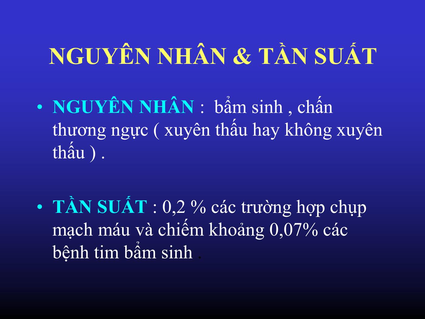 Đề tài Rò động mạch vành - Huỳnh Ngọc Thiện trang 3