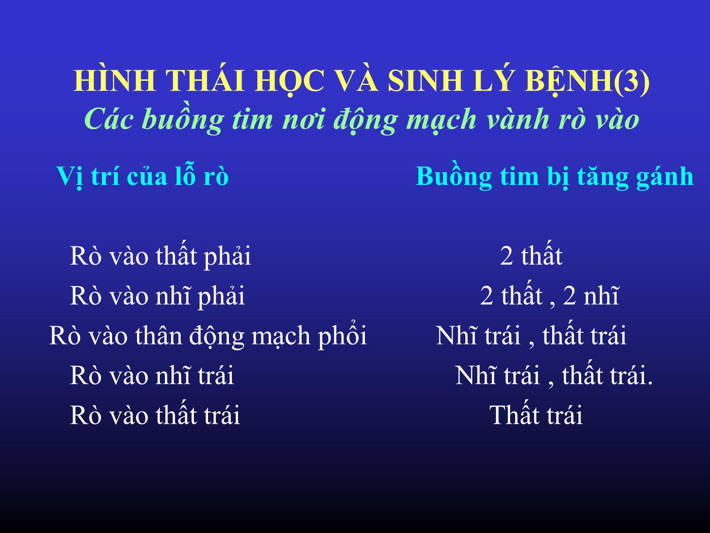 Đề tài Rò động mạch vành - Huỳnh Ngọc Thiện trang 6