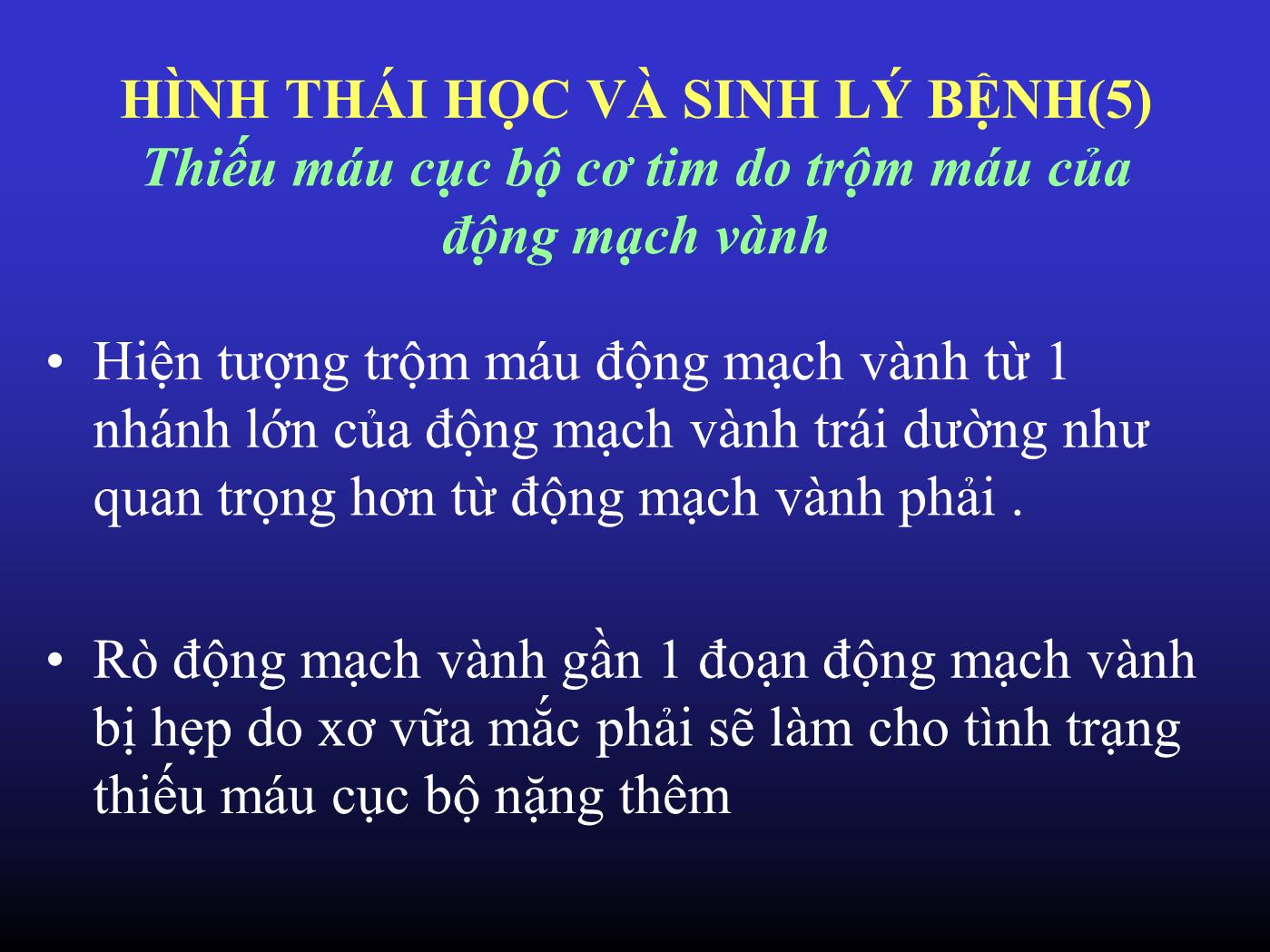 Đề tài Rò động mạch vành - Huỳnh Ngọc Thiện trang 8