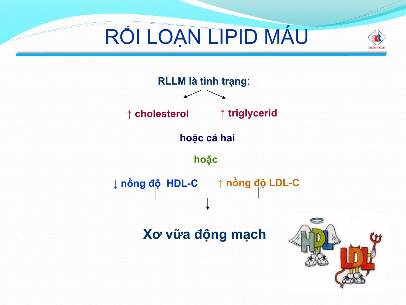 Bài giảng Rối loạn lipid máu - Phạm Thị Ngọc Điệp trang 3