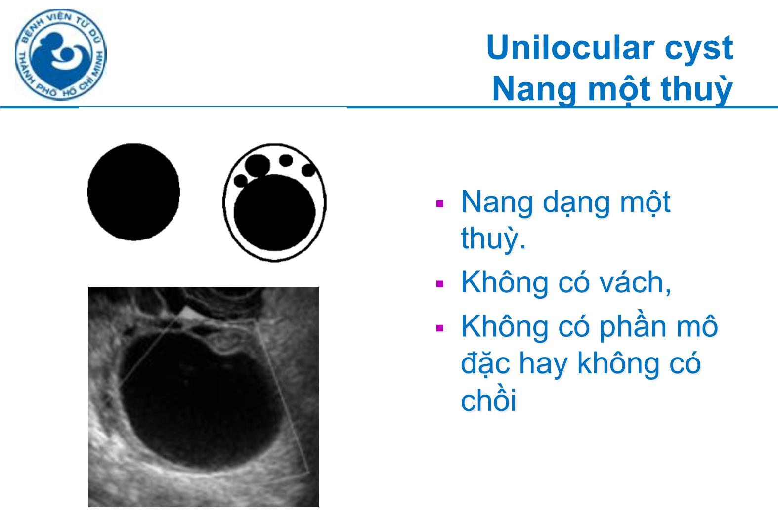 Đề tài Siêu âm đánh giá khối u buồng trứng tính nguy cơ ác tính theo IOTA - Hà Tố Nguyên trang 8