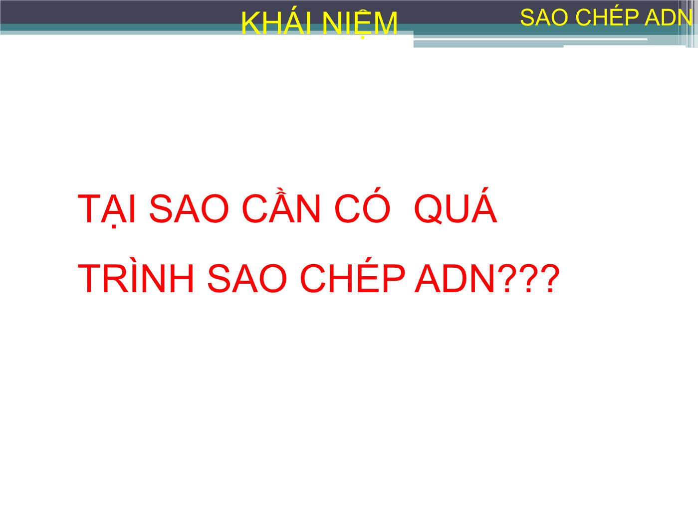 Bài giảng Sự sao chép ADN - Nguyễn Thanh Tố Nhi trang 3