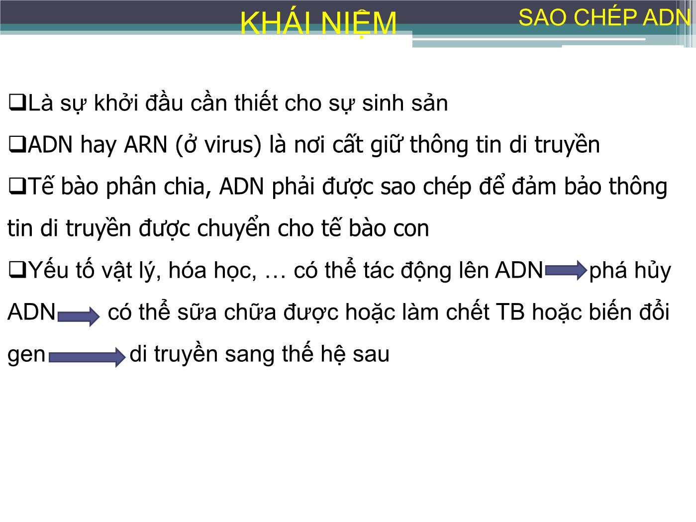 Bài giảng Sự sao chép ADN - Nguyễn Thanh Tố Nhi trang 4