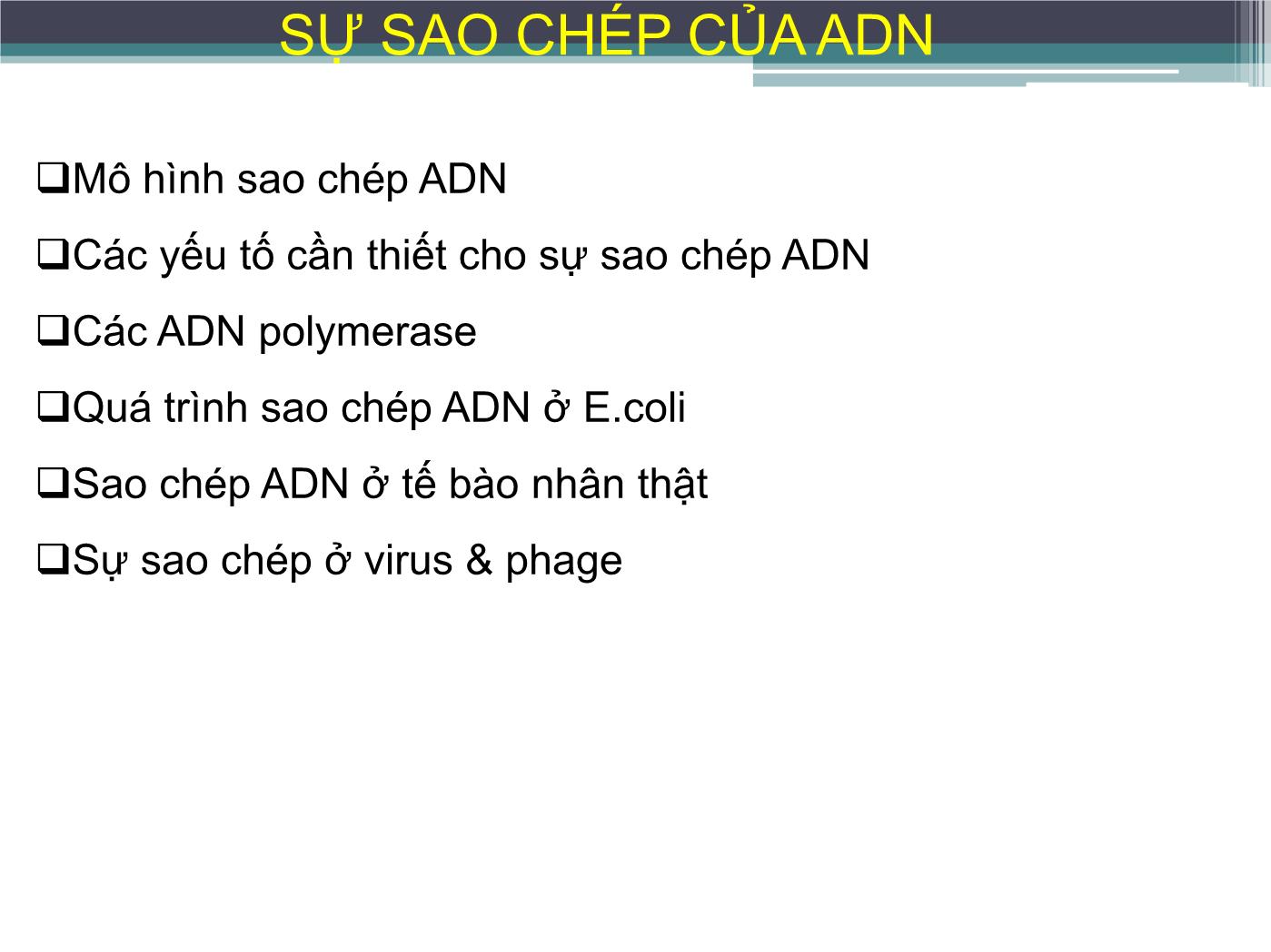 Bài giảng Sự sao chép ADN - Nguyễn Thanh Tố Nhi trang 7