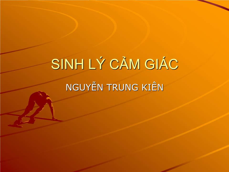 Bài giảng Sinh lý cảm giác - Nguyễn Trung Kiên trang 1