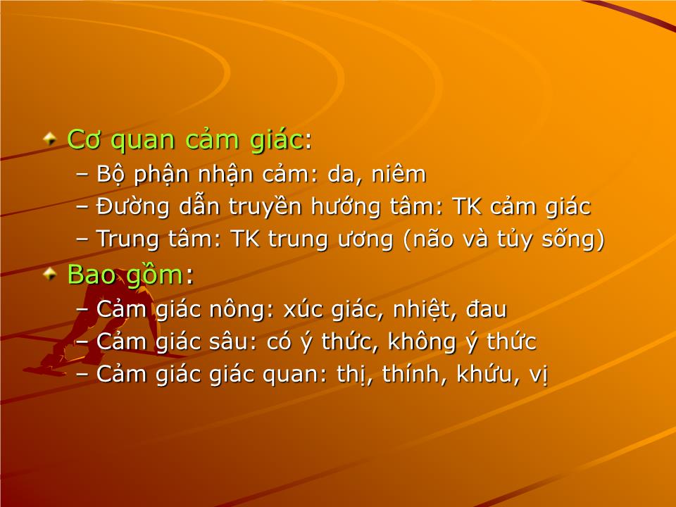 Bài giảng Sinh lý cảm giác - Nguyễn Trung Kiên trang 2