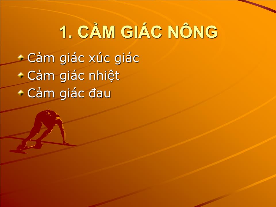 Bài giảng Sinh lý cảm giác - Nguyễn Trung Kiên trang 4