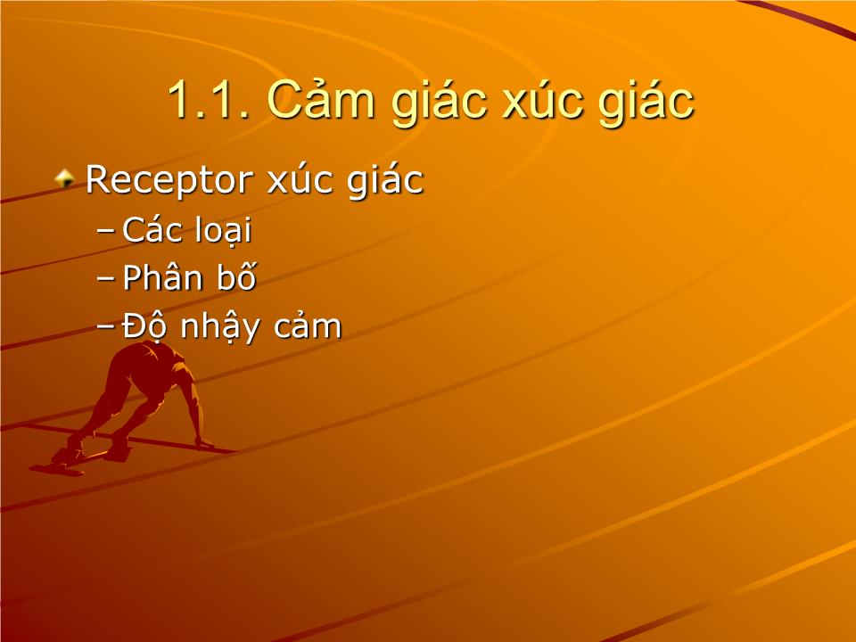 Bài giảng Sinh lý cảm giác - Nguyễn Trung Kiên trang 5