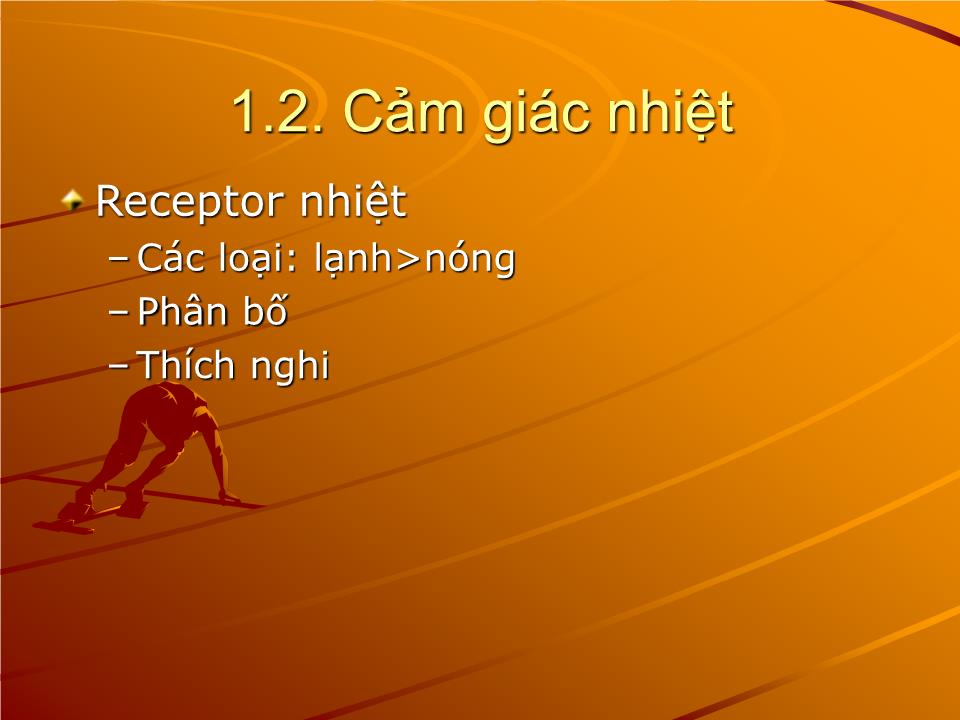 Bài giảng Sinh lý cảm giác - Nguyễn Trung Kiên trang 8