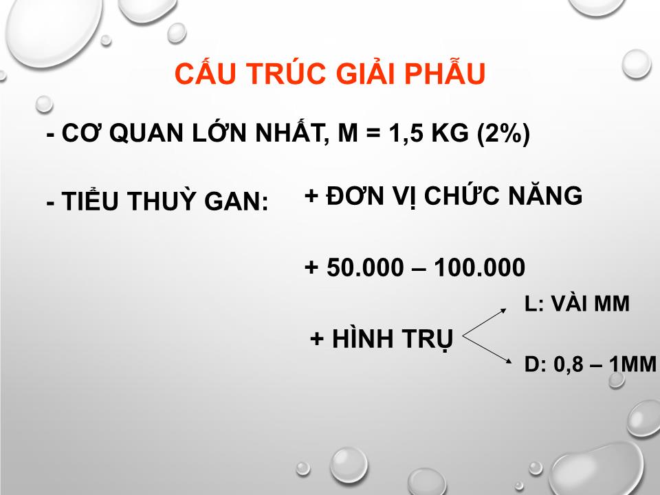 Bài giảng Sinh lý gan - Nguyễn Hồng Hà trang 4