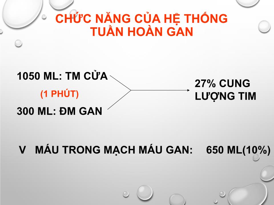 Bài giảng Sinh lý gan - Nguyễn Hồng Hà trang 6