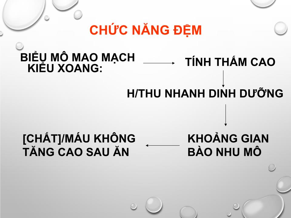 Bài giảng Sinh lý gan - Nguyễn Hồng Hà trang 7