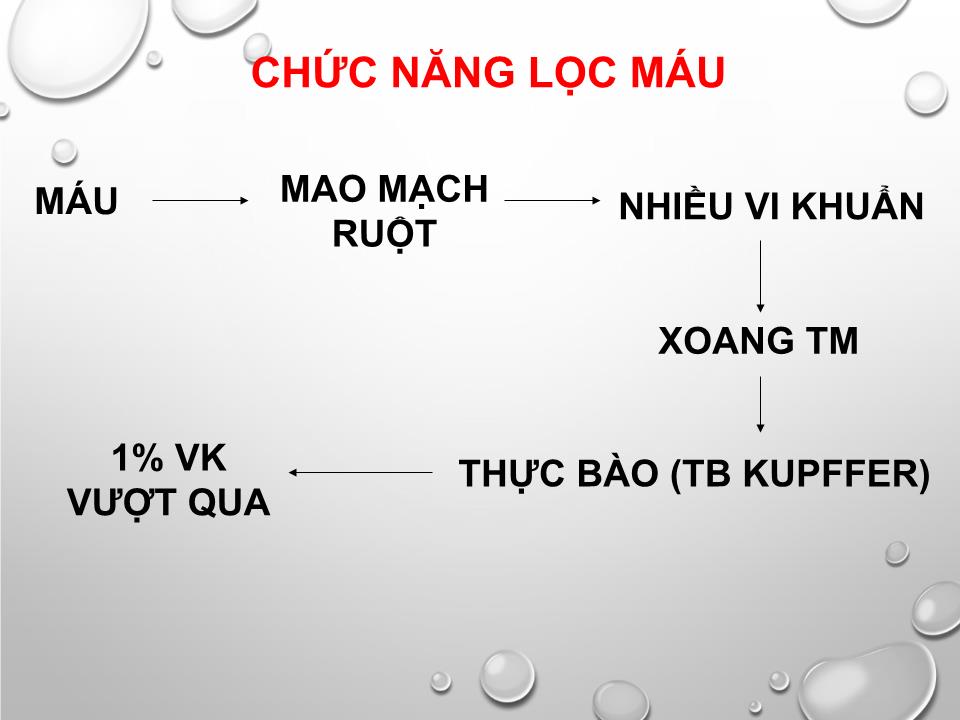 Bài giảng Sinh lý gan - Nguyễn Hồng Hà trang 8