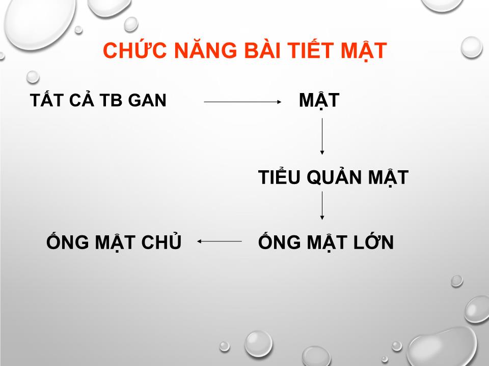 Bài giảng Sinh lý gan - Nguyễn Hồng Hà trang 9