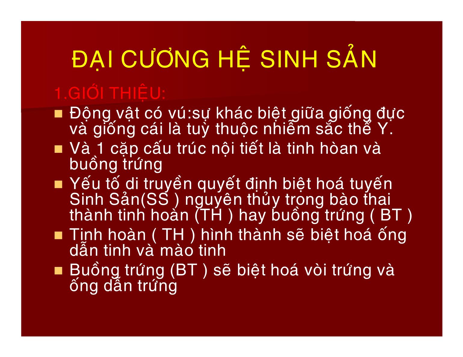 Bài giảng Sinh lý hệ sinh sản - Nguyễn Phúc Hậu trang 2