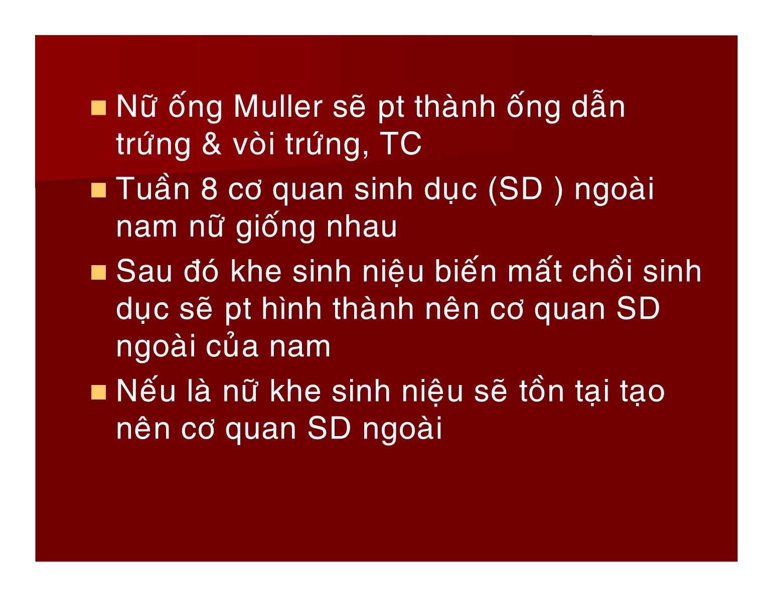 Bài giảng Sinh lý hệ sinh sản - Nguyễn Phúc Hậu trang 7