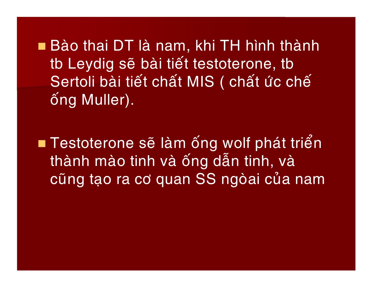 Bài giảng Sinh lý hệ sinh sản - Nguyễn Phúc Hậu trang 8