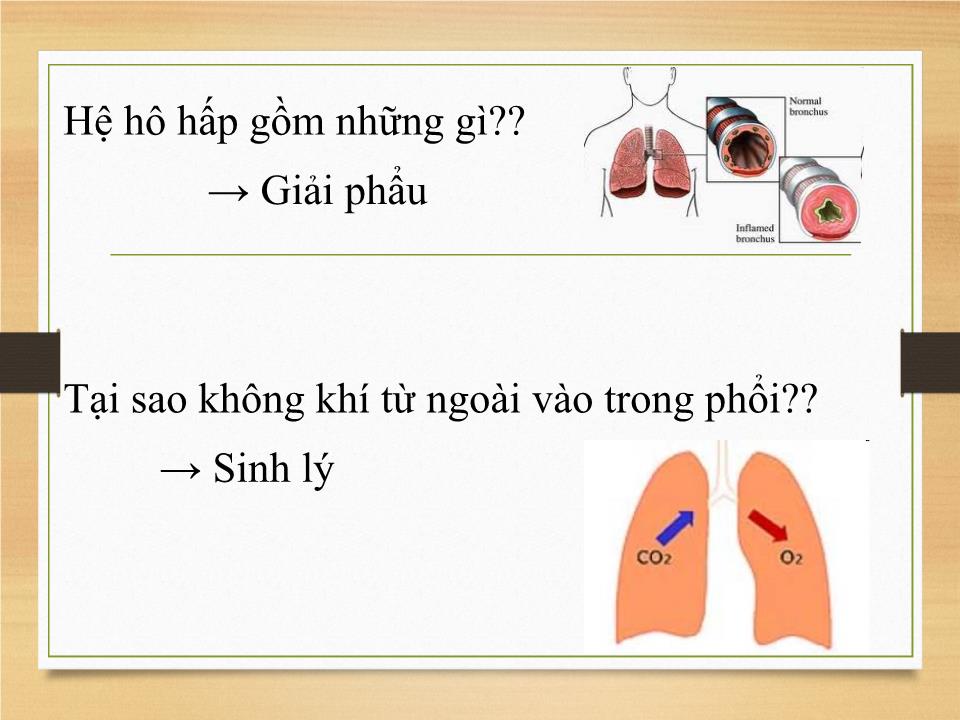 Bài giảng Sinh lý hệ hô hấp - Phạm Hoàng Khánh trang 2