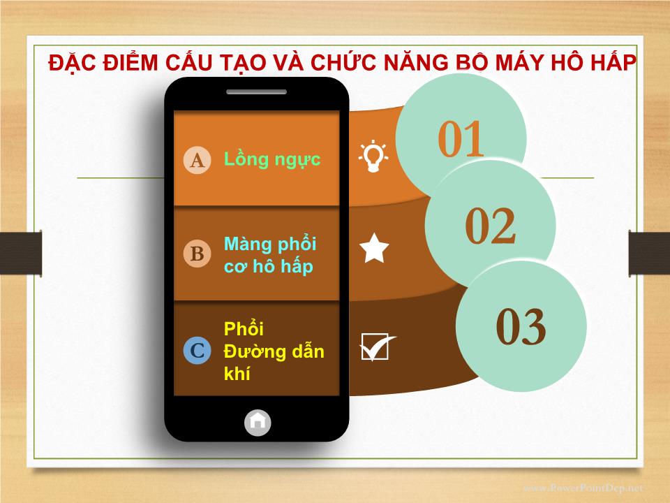 Bài giảng Sinh lý hệ hô hấp - Phạm Hoàng Khánh trang 3