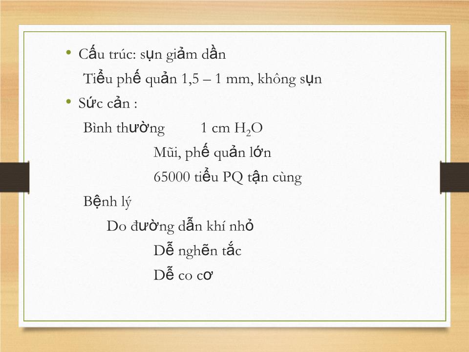 Bài giảng Sinh lý hệ hô hấp - Phạm Hoàng Khánh trang 9