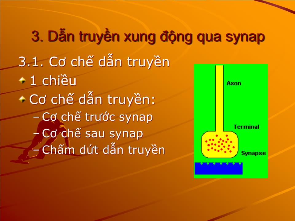 Bài giảng Sinh lý thần kinh - Nguyễn Trung Kiên trang 10