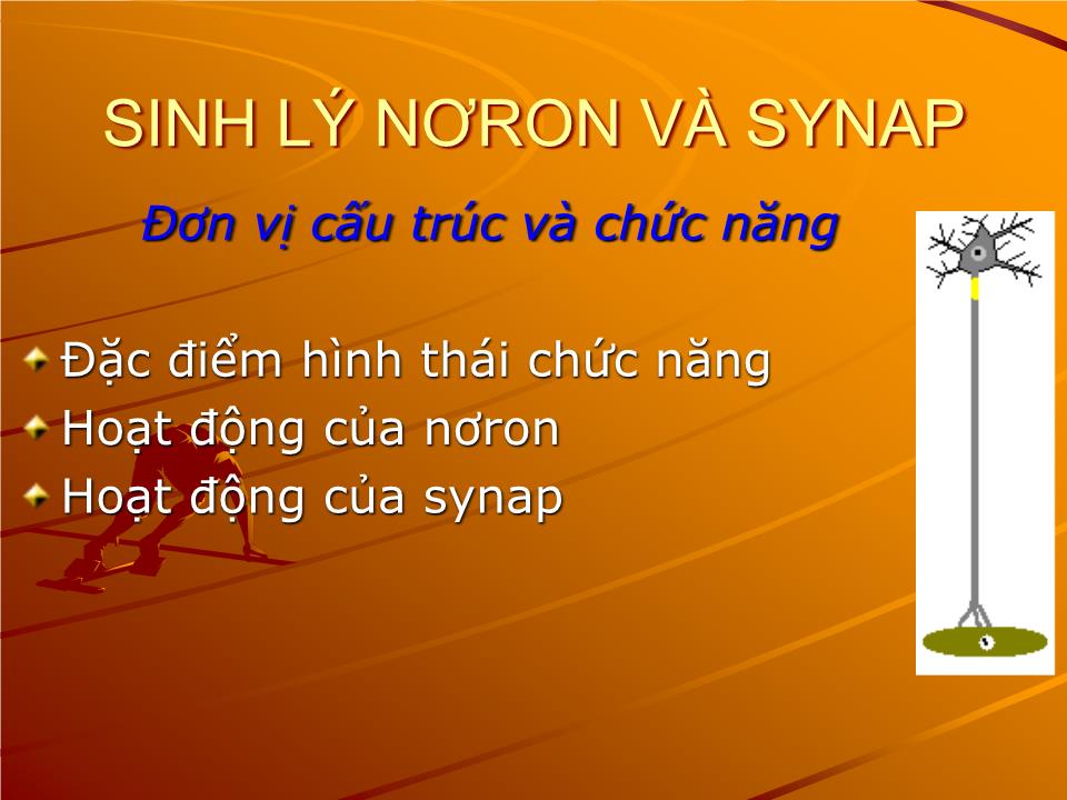 Bài giảng Sinh lý thần kinh - Nguyễn Trung Kiên trang 3