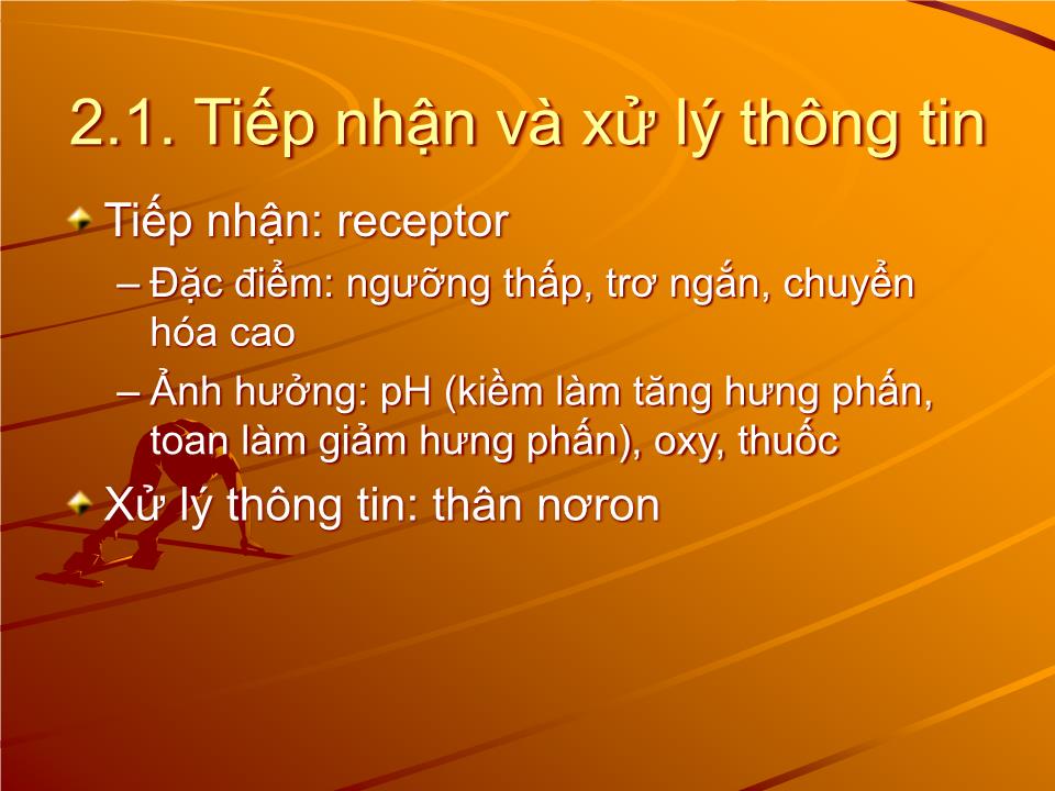 Bài giảng Sinh lý thần kinh - Nguyễn Trung Kiên trang 7