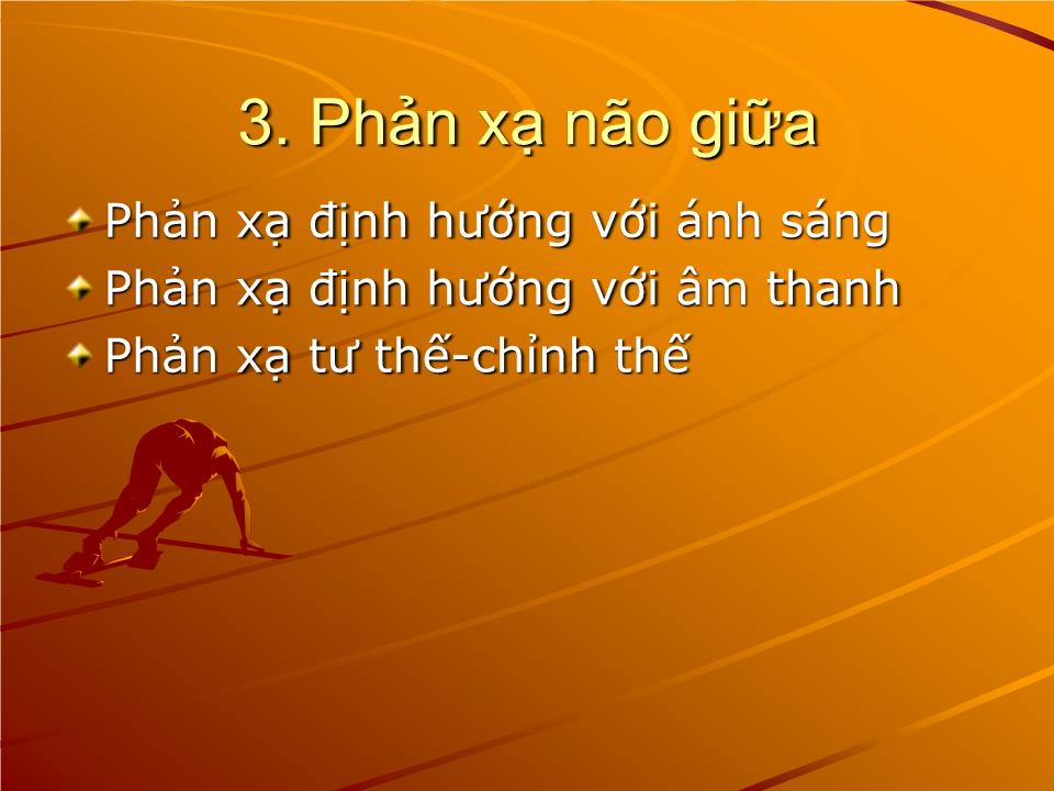 Bài giảng Sinh lý phản xạ - Nguyễn Trung Kiên trang 10