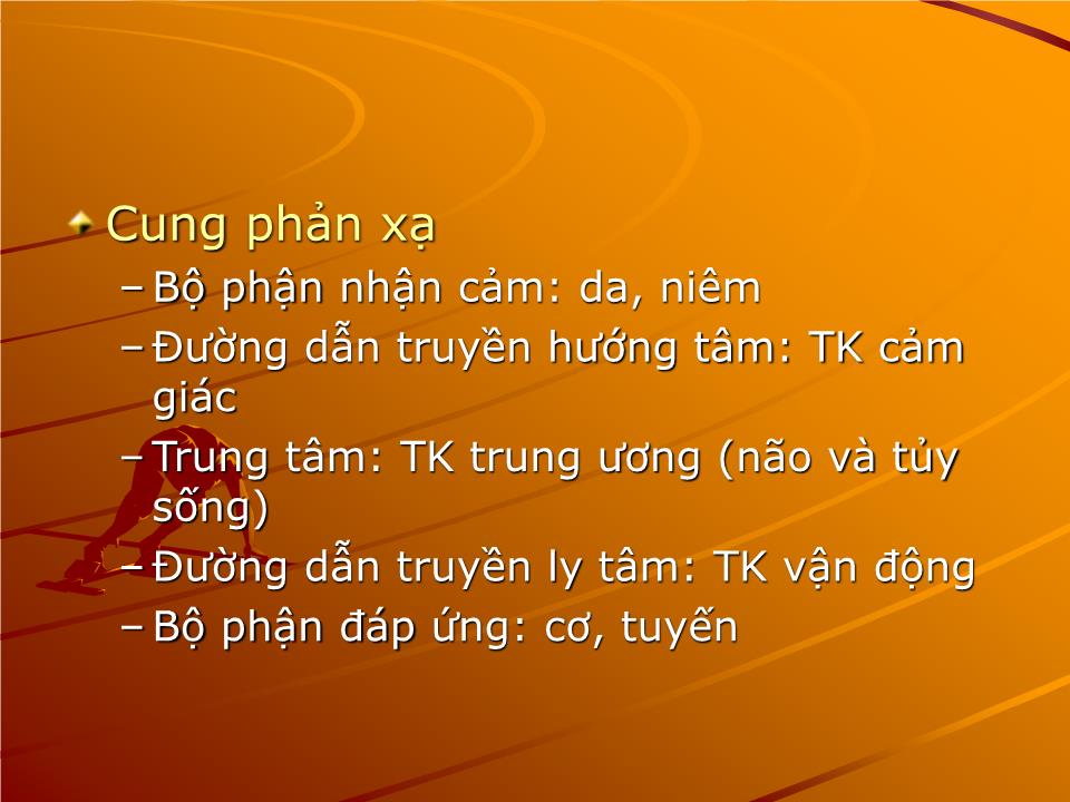 Bài giảng Sinh lý phản xạ - Nguyễn Trung Kiên trang 2