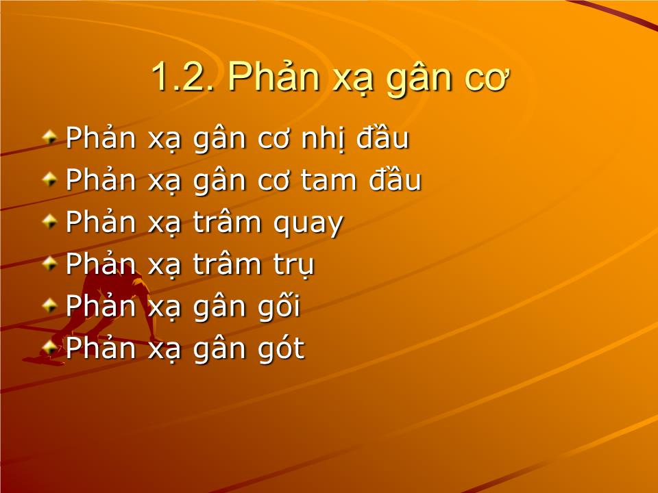 Bài giảng Sinh lý phản xạ - Nguyễn Trung Kiên trang 6