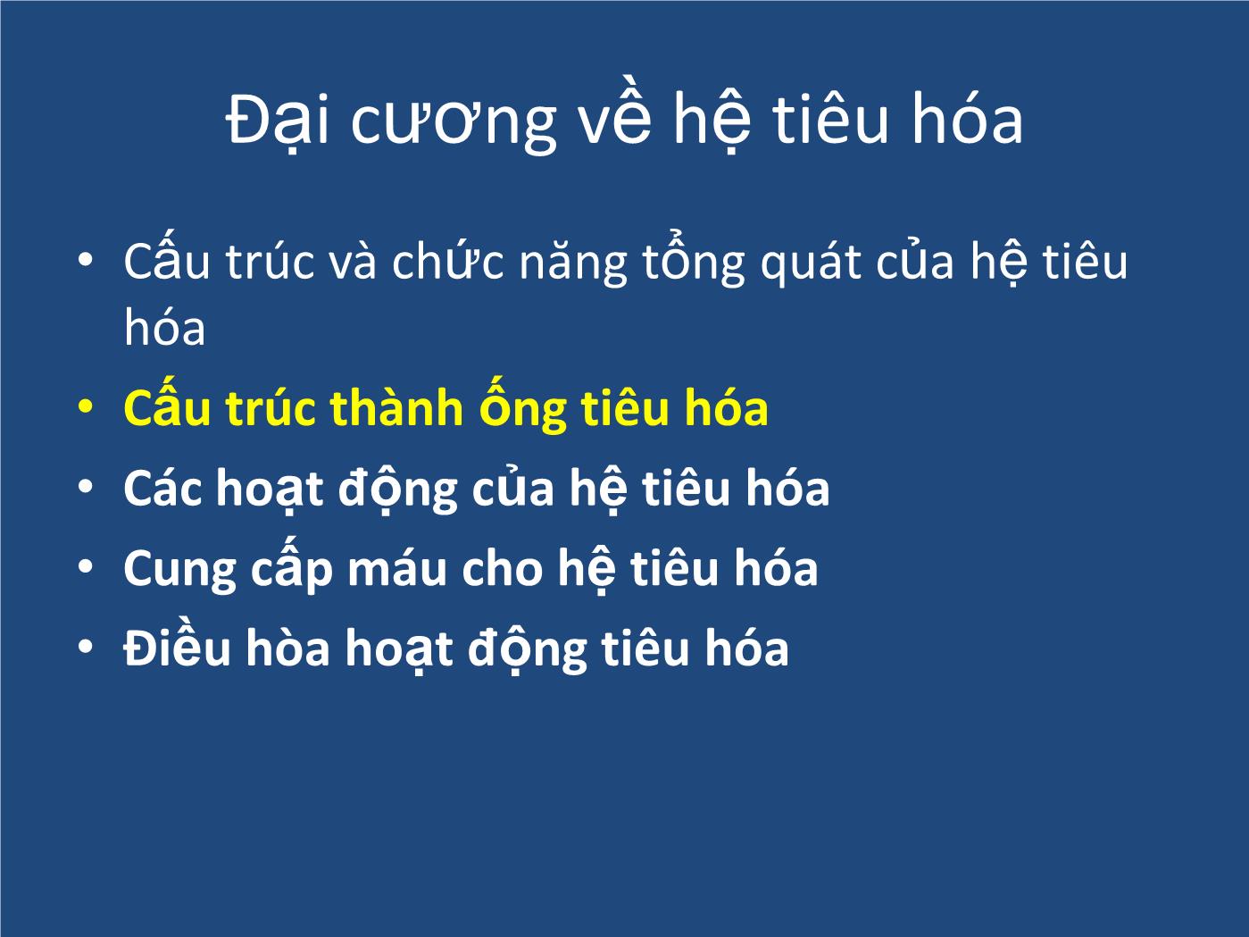 Bài giảng Sinh lý tiêu hóa - Nguyễn Xuân Cẩm Huyên trang 5