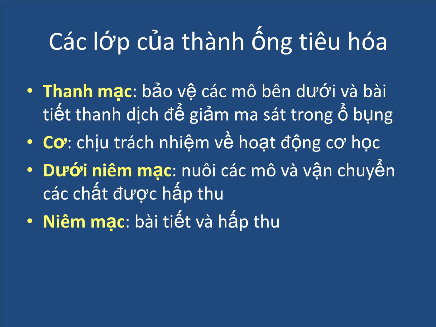 Bài giảng Sinh lý tiêu hóa - Nguyễn Xuân Cẩm Huyên trang 7