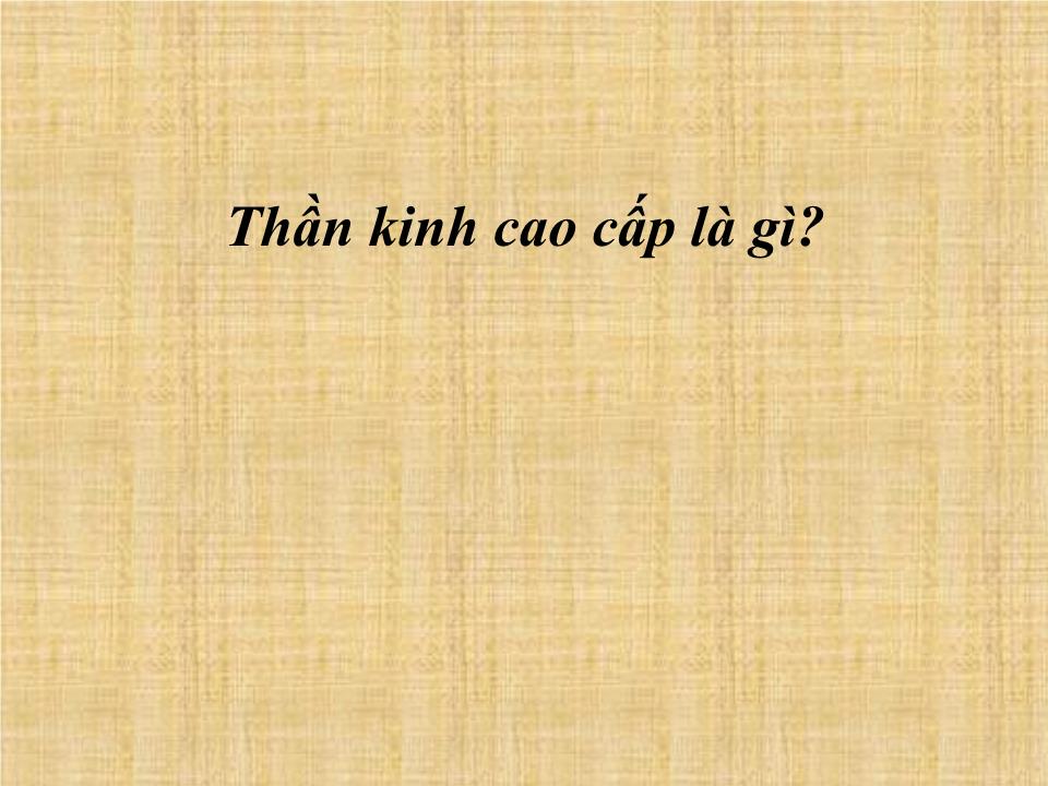 Bài giảng Thần kinh cao cấp - Nguyễn Trung Kiên trang 3