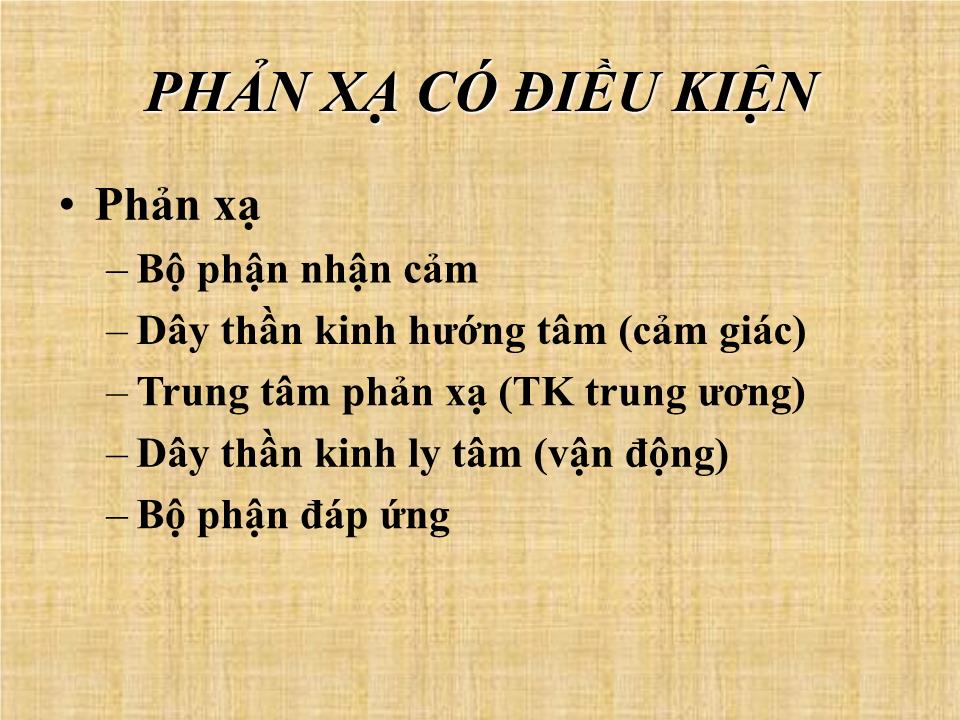 Bài giảng Thần kinh cao cấp - Nguyễn Trung Kiên trang 4