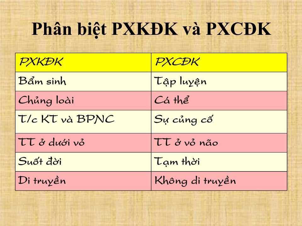 Bài giảng Thần kinh cao cấp - Nguyễn Trung Kiên trang 6