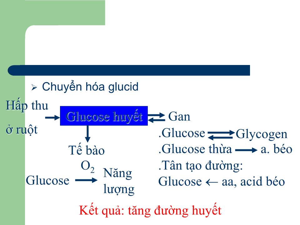 Bài giảng Sinh lý tuyến giáp - Nguyễn Trung Kiên trang 6