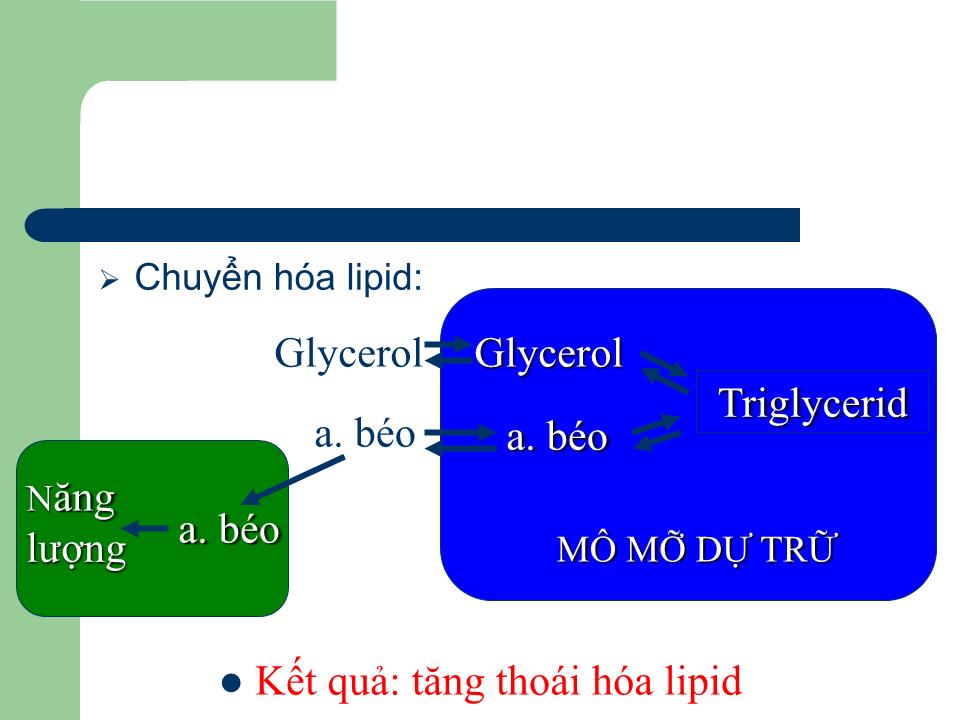 Bài giảng Sinh lý tuyến giáp - Nguyễn Trung Kiên trang 7