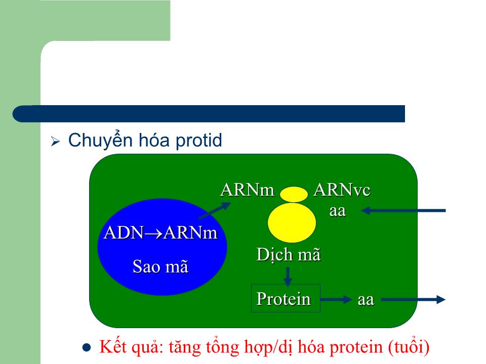 Bài giảng Sinh lý tuyến giáp - Nguyễn Trung Kiên trang 8