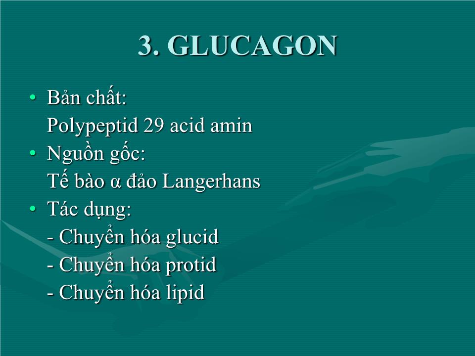 Bài giảng Sinh lý tuyến tụy nội tiết - Nguyễn Trung Kiên trang 10