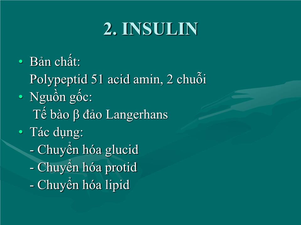 Bài giảng Sinh lý tuyến tụy nội tiết - Nguyễn Trung Kiên trang 5