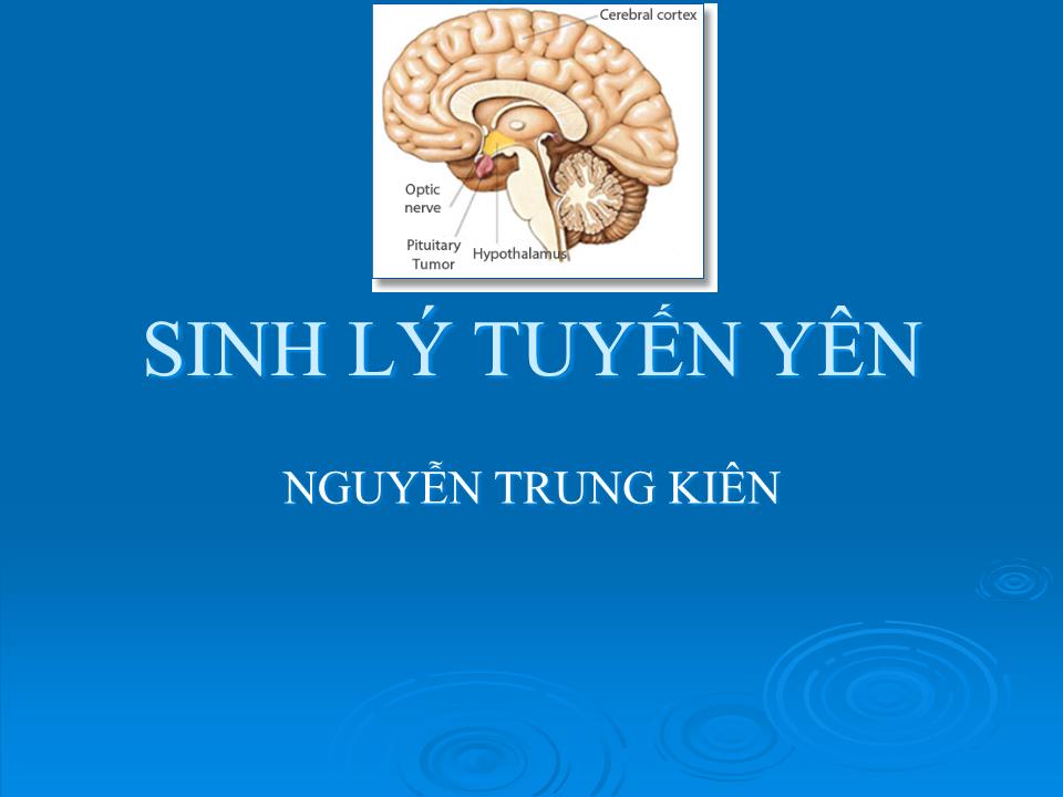 Bài giảng Sinh lý tuyến yên - Nguyễn Trung Kiên trang 1