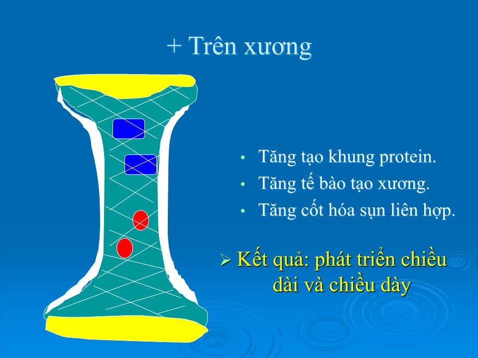 Bài giảng Sinh lý tuyến yên - Nguyễn Trung Kiên trang 7